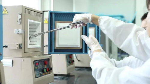 聚焦高質(zhì)量發(fā)展 合肥市蜀山區(qū) 雙 谷 聯(lián)動(dòng) 打造 全域科創(chuàng) 新生態(tài)